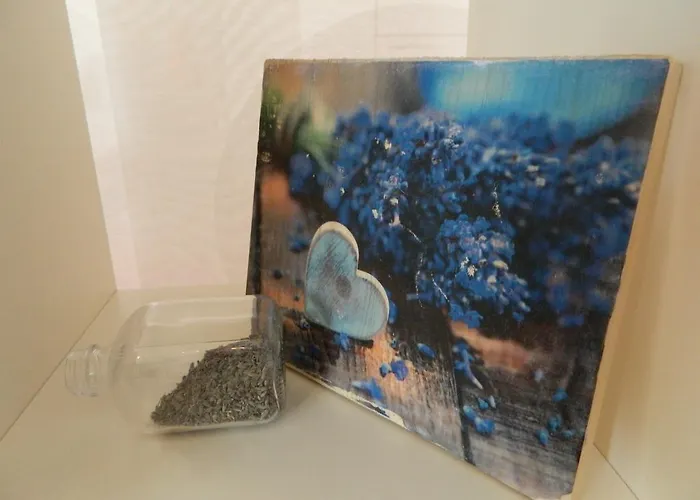 泰拉耶萨尔公寓 扎达尔