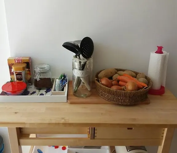 泰拉耶萨尔公寓 扎达尔