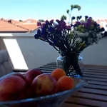 Terraesal